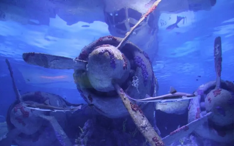 Antalya Aquarium Tour from Belek