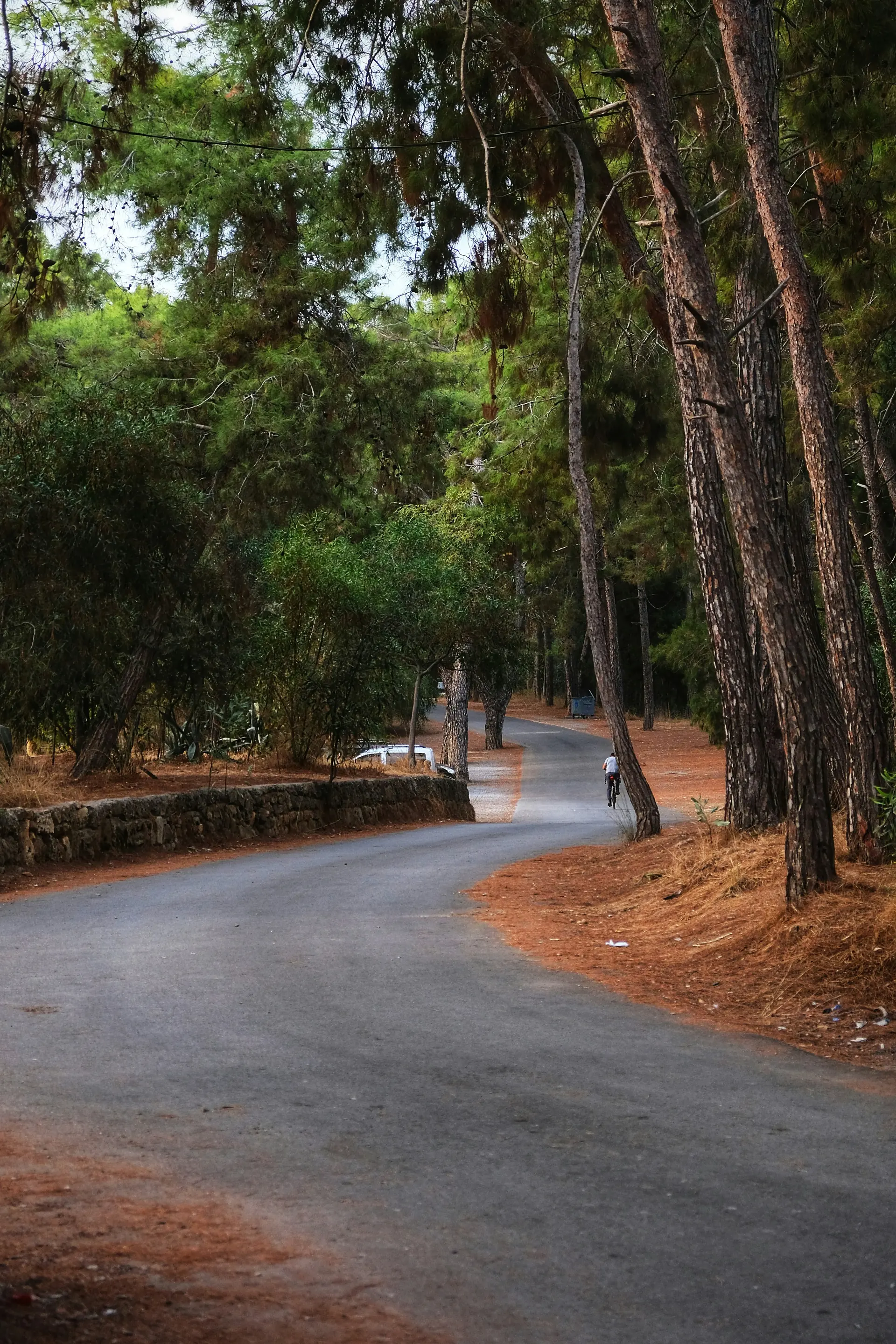 Avsallar - Photo 3